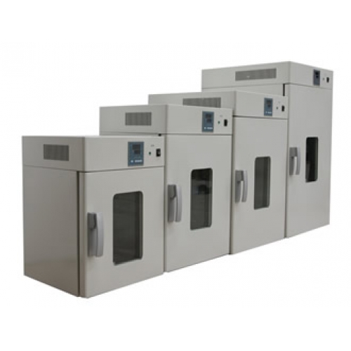 電熱恒溫鼓風(fēng)干燥箱DHG-9420A