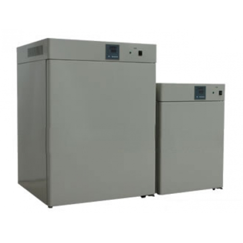 電熱恒溫培養(yǎng)箱DNP-9020